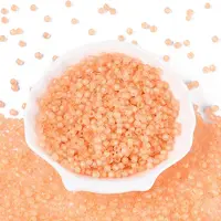 Transparent Inside Colours Glass Seed Beads