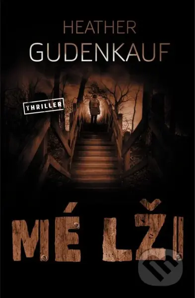 Mé lži - Heather Gudenkauf - kniha z kategorie Detektivky