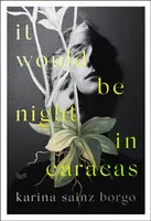 It Would Be Night in Caracas - Sainz Borgo Karina, Elizabeth Bryer