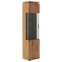 Linea Natura VITRÍNA, trámový dub, šedá, barvy dubu, 50/204/37 cm