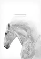 Školní sešit LUX A4 444, Kůň