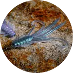 Redbass gumová nástraha nymfa ghost natur - x 100 mm