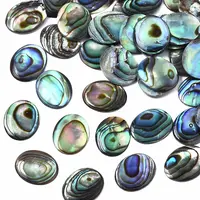 Natural Abalone Shell/Paua Shell Cabochons