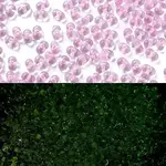 Luminous Glass Seed Beads