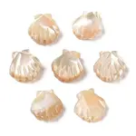 Natural Trochus Shell Carved Beads
