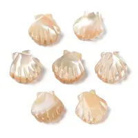 Natural Trochus Shell Carved Beads