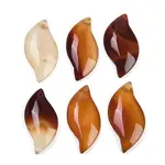 Natural Agate(Dyed & Heated) Pendants