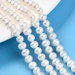 Natural Cultured Freshwater Pearl Beads Strands
