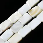 Natural Freshwater Shell Beads Strands