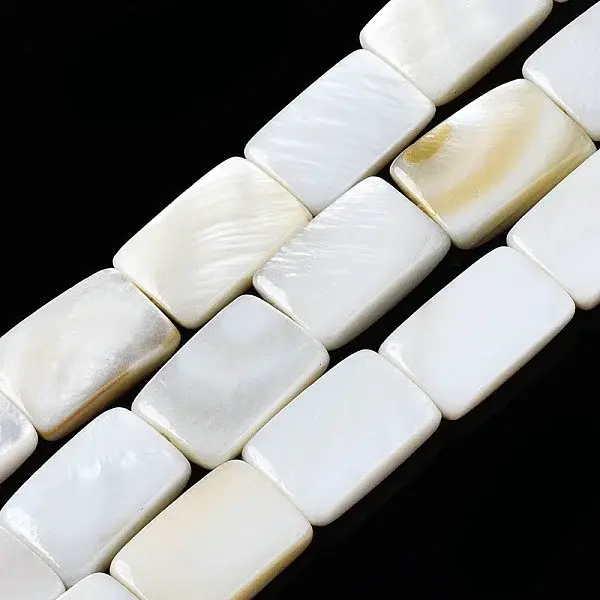 Natural Freshwater Shell Beads Strands