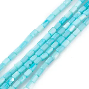 Natural Freshwater Shell Dyed Beads Strands