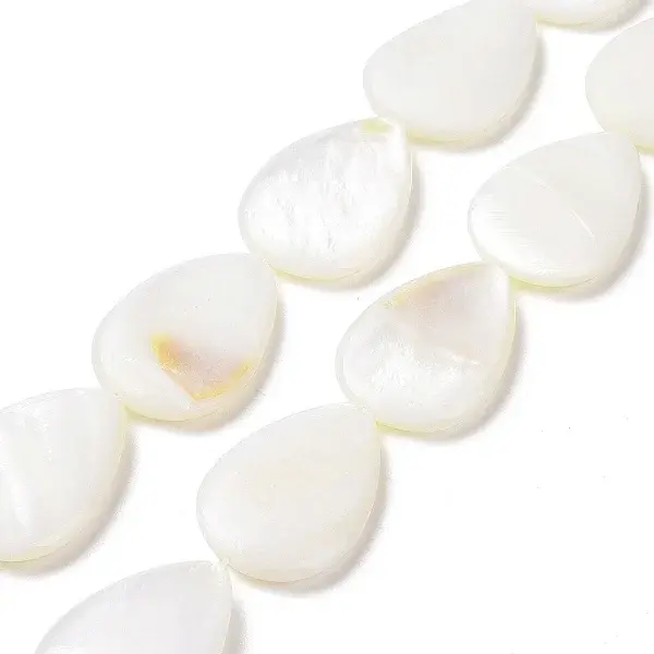 Natural Freshwater Shell Beads Strands