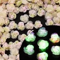 Luminous Resin Decoden Cabochons