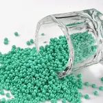 11/0 Grade A Round Glass Seed Beads