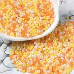Baking Paint Glass Seed Beads