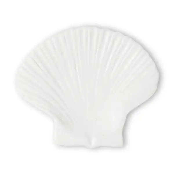 Talíř Byon Shell M bílá barva