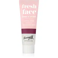 Barry M Fresh Face multifunkčné líčidlo na pery a tvár odtieň Blackberry 10 ml