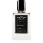 Fragrance World Prive Series Savior parfumovaná voda pre mužov 70 ml