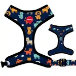 Reedog DOG & CAT | Postroj pre psa - XS