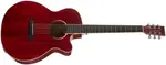 Tanglewood TW4CE R