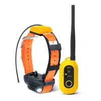 Dogtra Pathfinder 2 | Elektronický výcvikový obojek s GPS