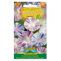 Povojník ťahavý, zmes, purpurový