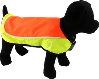 Vesta Dog Fantasy LED reflexní nabíjecí L