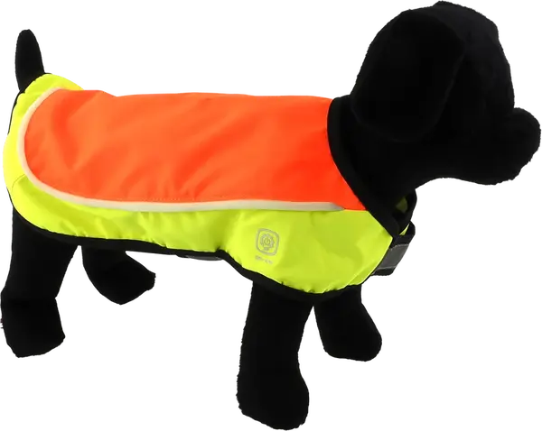 Vesta Dog Fantasy LED reflexní nabíjecí L