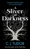 A Sliver of Darkness - C. J. Tudorová