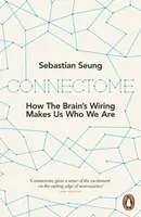Connectome - Sebastian Seung