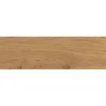 Cersanit Dlažba DORFWOOD GPT1114 Beige Matt 18,5 x 59,8 cm