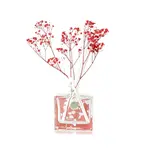 Ashleigh & Burwood London Difuzér LIFE IN BLOOM - WINTER ROSE & JASMINE, 150 ml