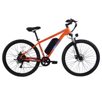 PVY M29 Electric Bike 250W 48V 17.5Ah 25km/h Orange