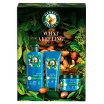 HERBAL ESSENCES Sada produktů Argain Oil