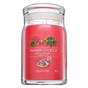 Yankee Candle Art In The Park 567 g