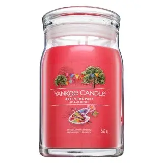 Yankee Candle Art In The Park 567 g