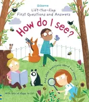 First Questions and Answers: How do I see? - Katie Daynes