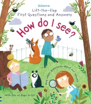 First Questions and Answers: How do I see? - Katie Daynes