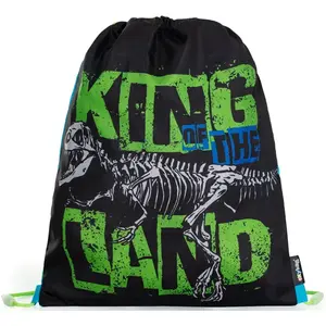 Kapsa na cvičky Premium Dinosaurus