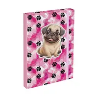 BAAGL Desky na školní sešity A4 Packy