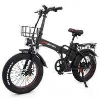 DRVETION AT20 Electric Bike 250W 48V 20Ah