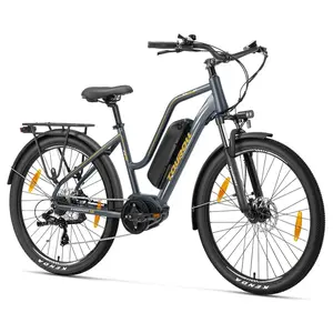 Touroll MA2 Electric Bike 250W 36V 13Ah Grey