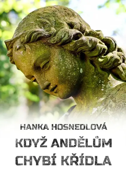 Když andělům chybí křídla - Hanka Hosnedlová