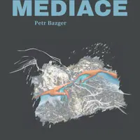 Mediace - Petr Bazger - e-kniha