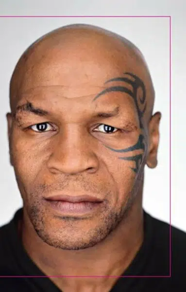 Čistá pravda - Mike Tyson, Larry Sloman