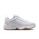 Nike Air Monarch IV 45