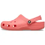 Crocs Dreváky 'Classic'  lososová