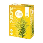 Fytopharma Zlatobyľ vňať sypaná
