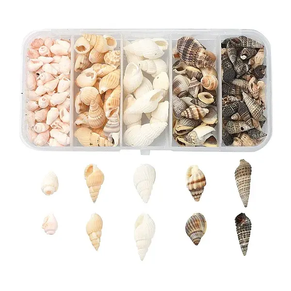 5 Styles Mixed Natural Shell Beads