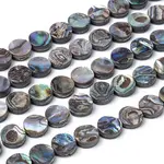 Natural Abalone Shell/Paua Shell Beads Strands
